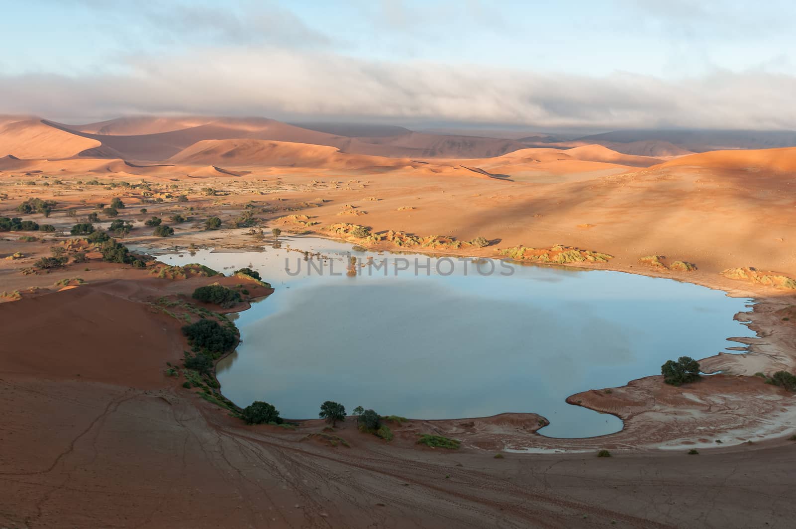 View from Sossusvlei, filled with water, towards the south
