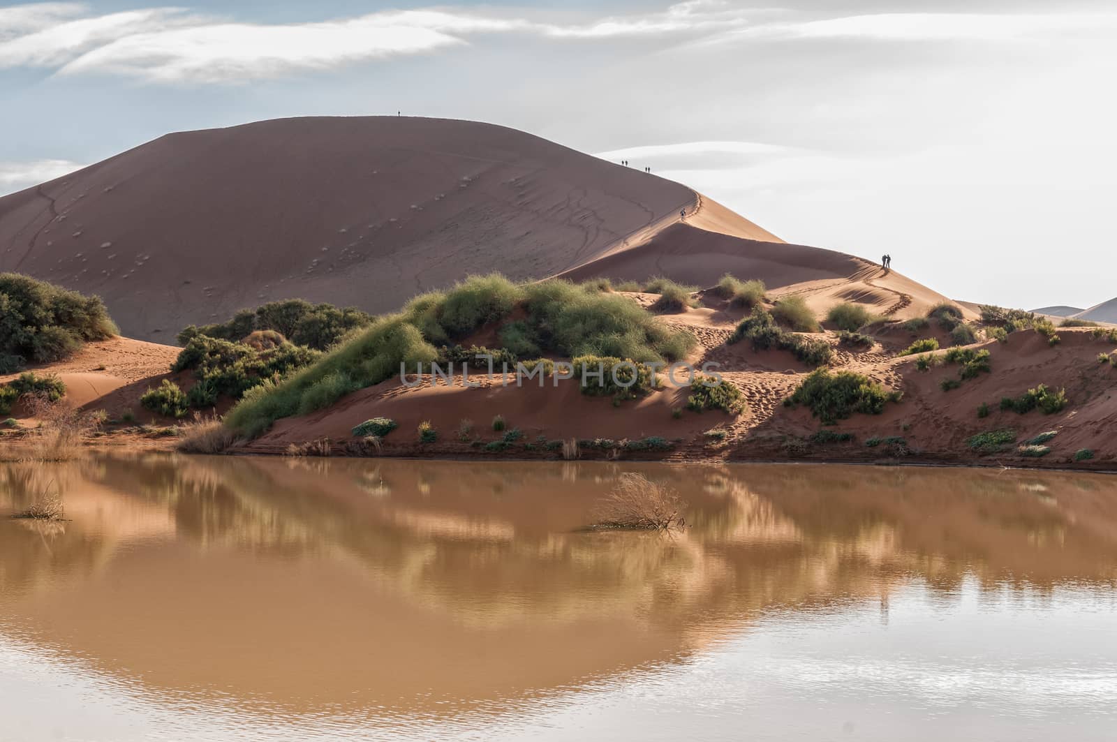 A view accross Sossusvlei, filled with water, and a sand dune with people on it