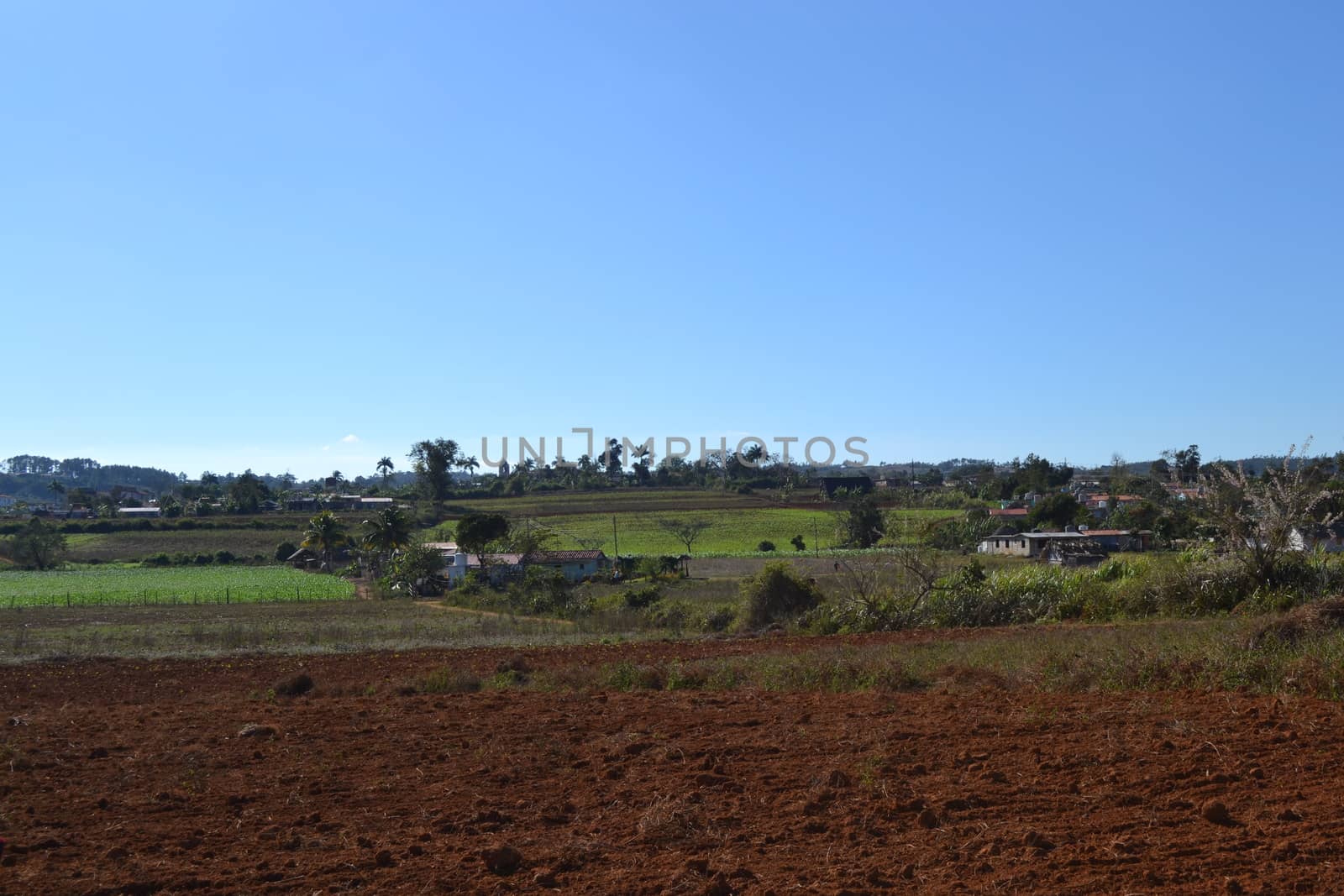 Agricultural fields in Vinales, Cuba. Nature and landscape. by kb79