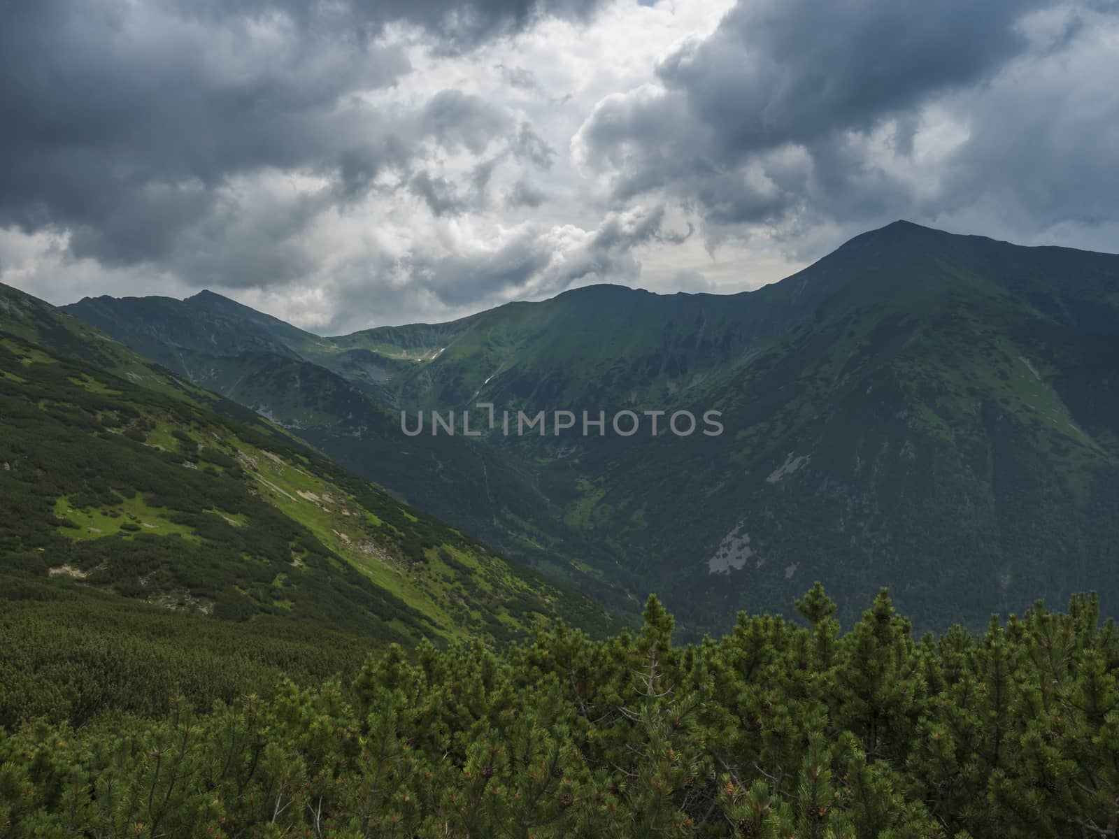 Beautiful mountain landscape with lush green grass, dwarf scrub pine and bare mountain peaks. Ziarska dolina, Western Tatras mountains, Rohace Slovakia, summer dramatic clouds sky background.