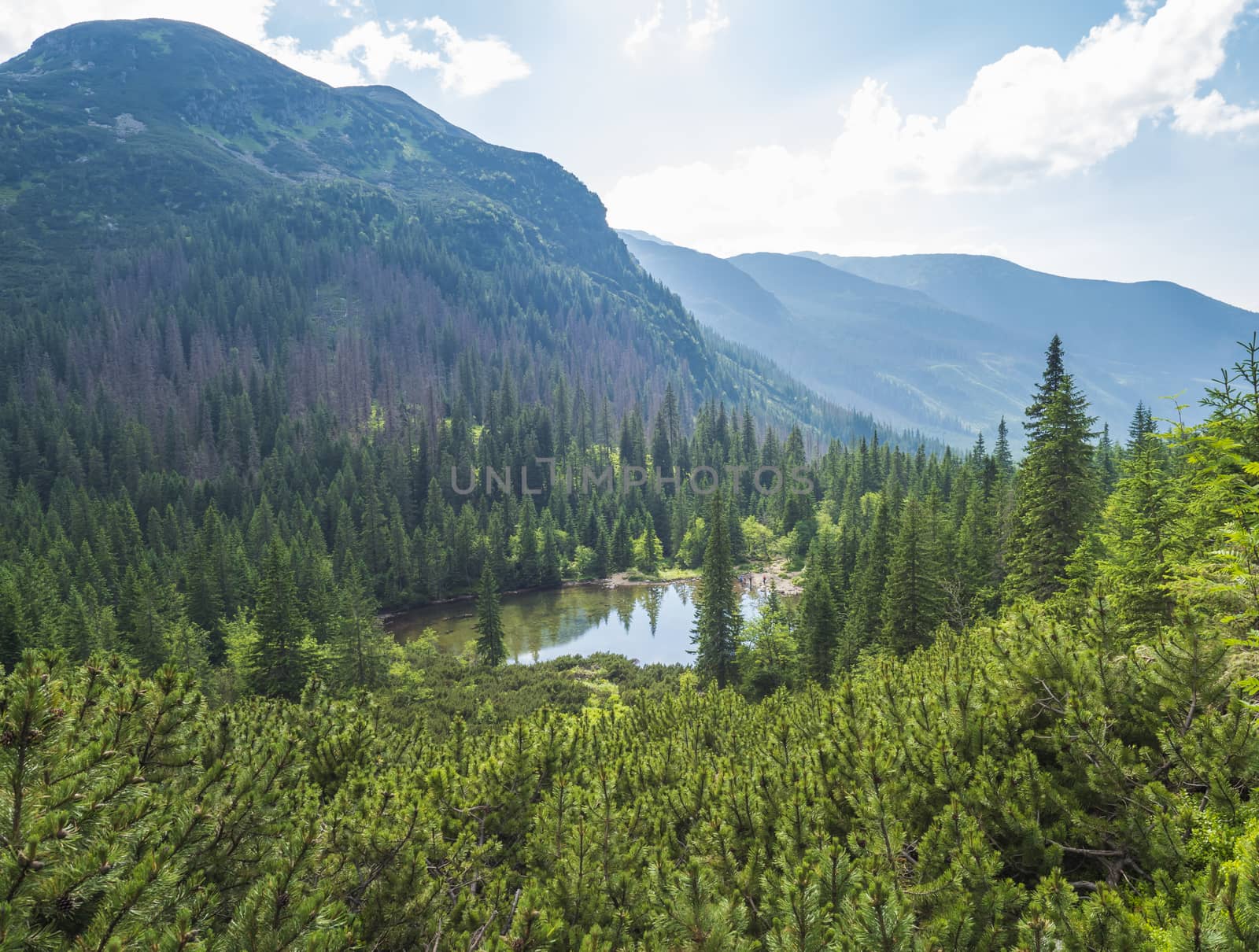 View on Tatliakovo jezero or pleso, mountain lake in Western Tatras mountains, Rohace Slovakia. Beautiful spruce forest and mountain peak landscape.