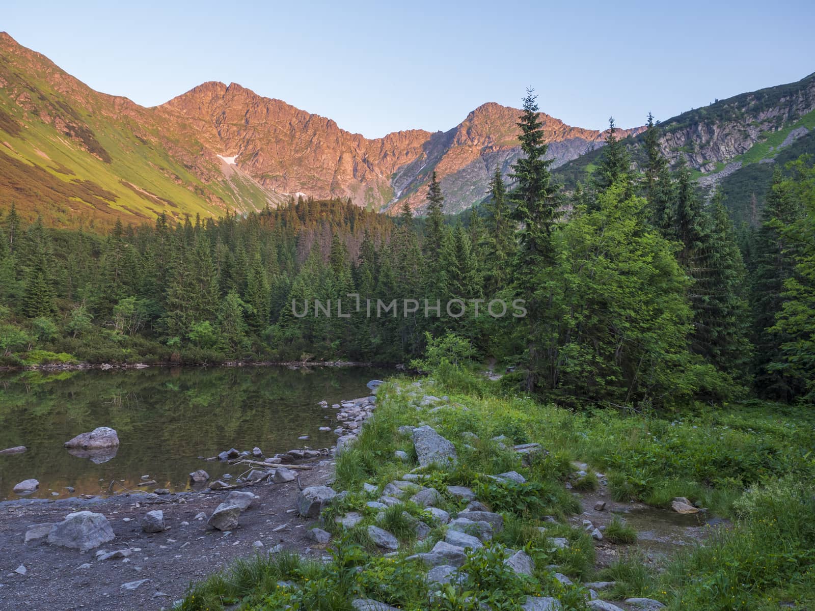 View on Tatliakovo jezero or pleso, mountain lake in Western Tatras mountains, Rohace Slovakia. Beautiful spruce forest and mountain peak landscape in orange sunset light