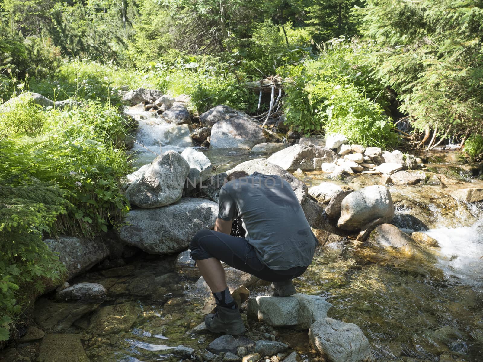 Young men hiker refreshing his head at mountain stream creek flows between lush green fern leaves and boulders. Western Tatras mountains, Rohace Slovakia, summer.