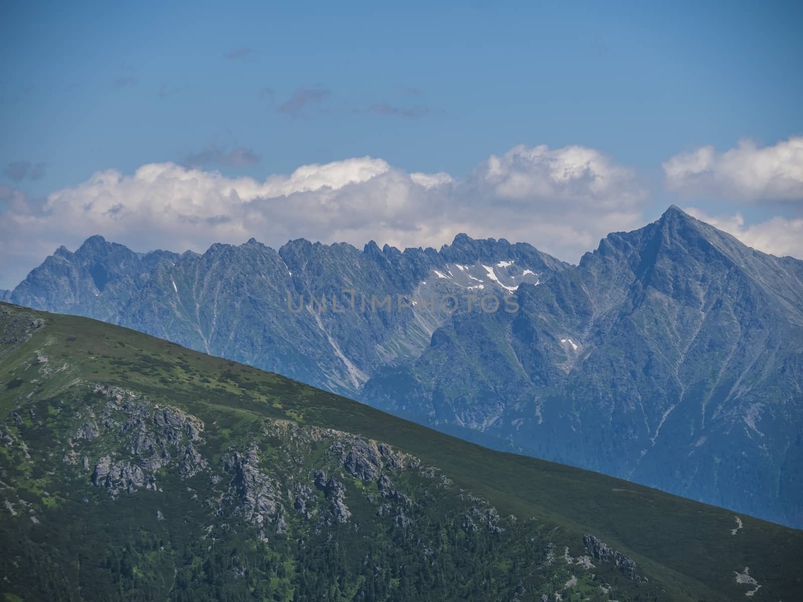 Mountain landscape of Western Tatra mountains or Rohace with view on high tatras with Krivan peak from hiking trail on Baranec. Sharp green grassy rocky mountain peaks with scrub pine and alpine flower meadow. Summer blue sky background.
