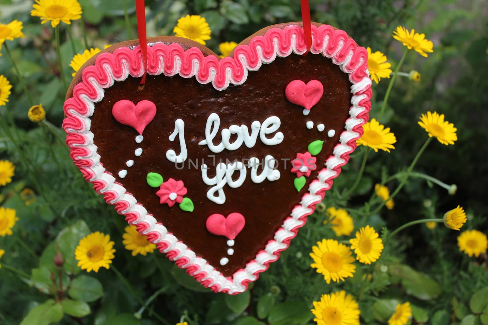 The picture shows gingerbread heart in front of a field with yellow flowers with the text I love you