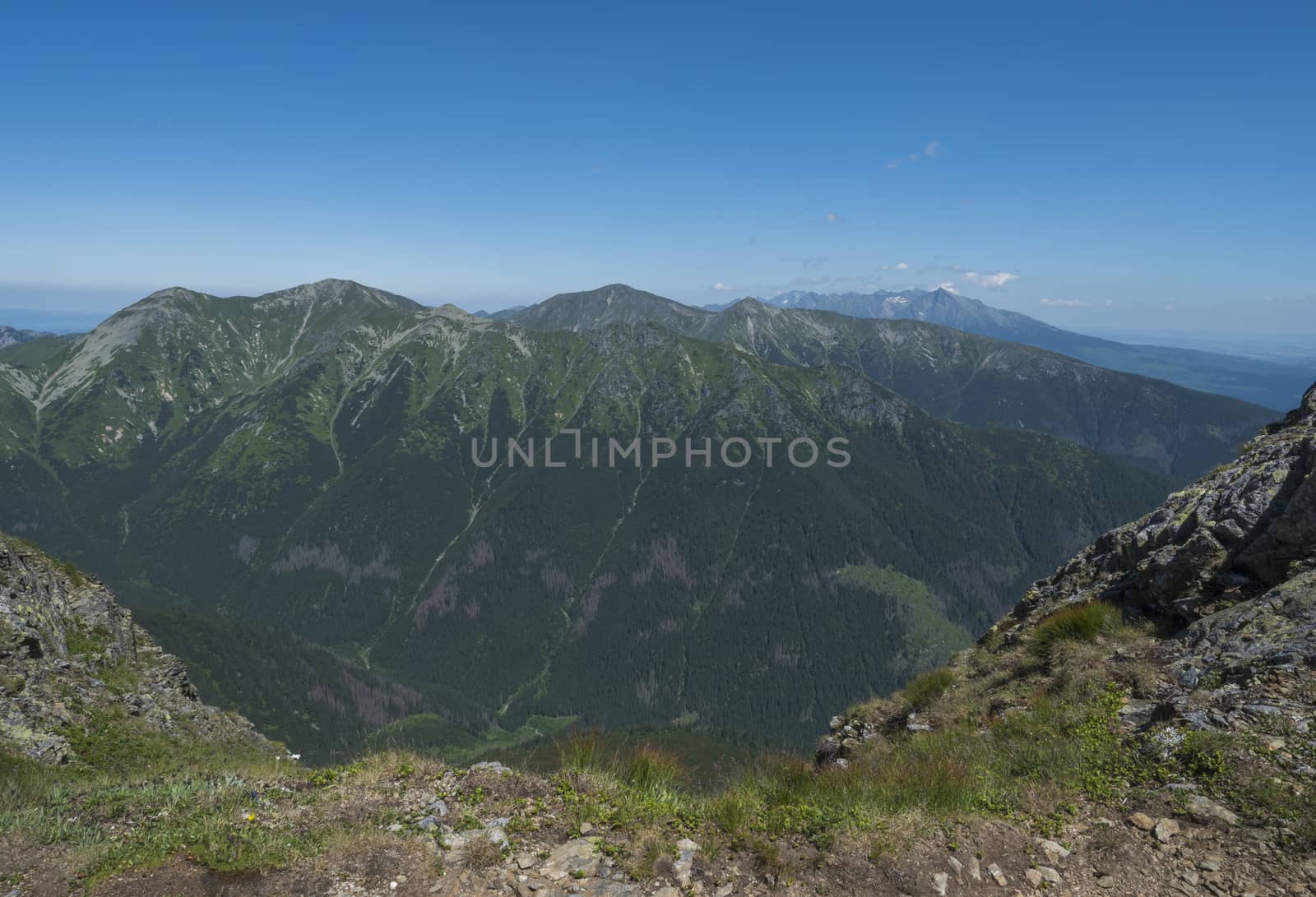 Mountain landscape of Western Tatra mountains or Rohace with view on high tatras with Krivan peak from hiking trail on Baranec. Sharp green grassy rocky mountain peaks with scrub pine and alpine flower meadow. Summer blue sky background.