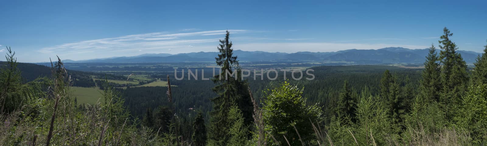 View from tatra mountains trail on valley with Tatranska lomnice and blue misty slopes of hills in the distance. Pine trees and coniferous forest hills, blue sky. Travel background, tatra mountain in summer, Slovakia.