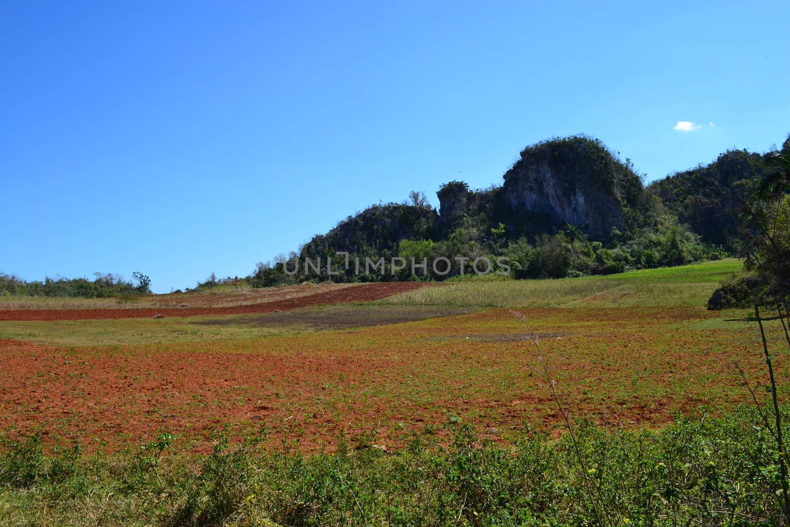 Agriculture, nature and ladscape in Vinales, Cuba by kb79