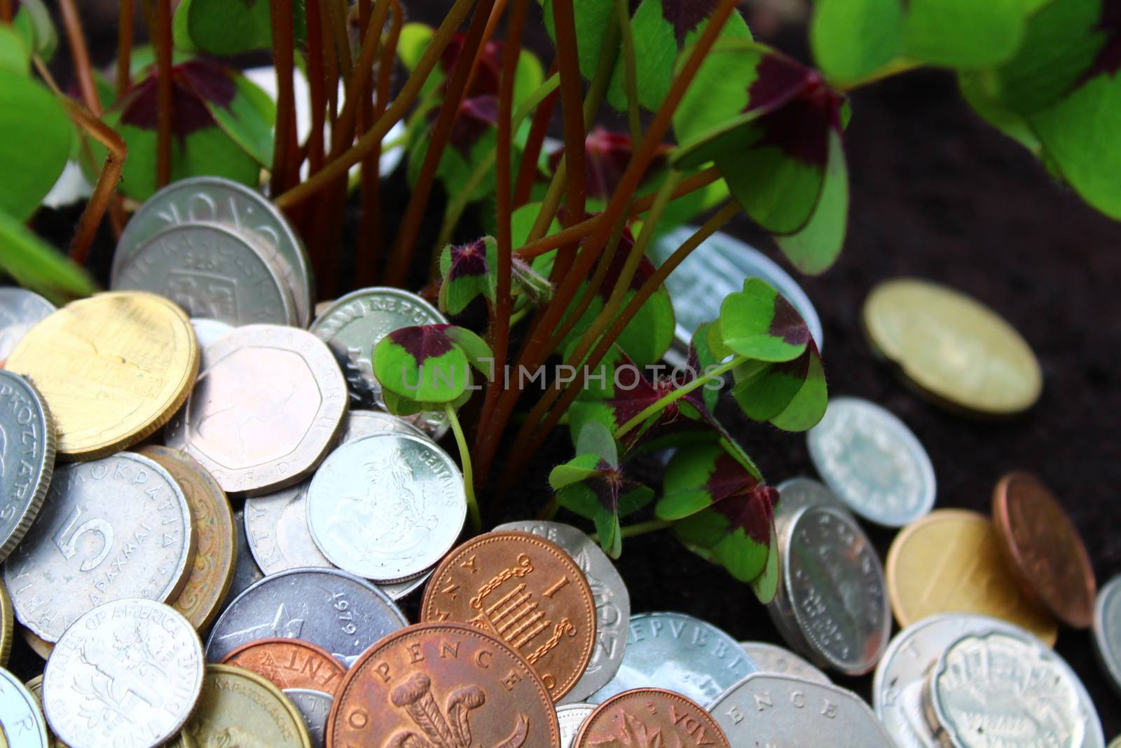 The picture shows coins from foreign countries and lucky clover