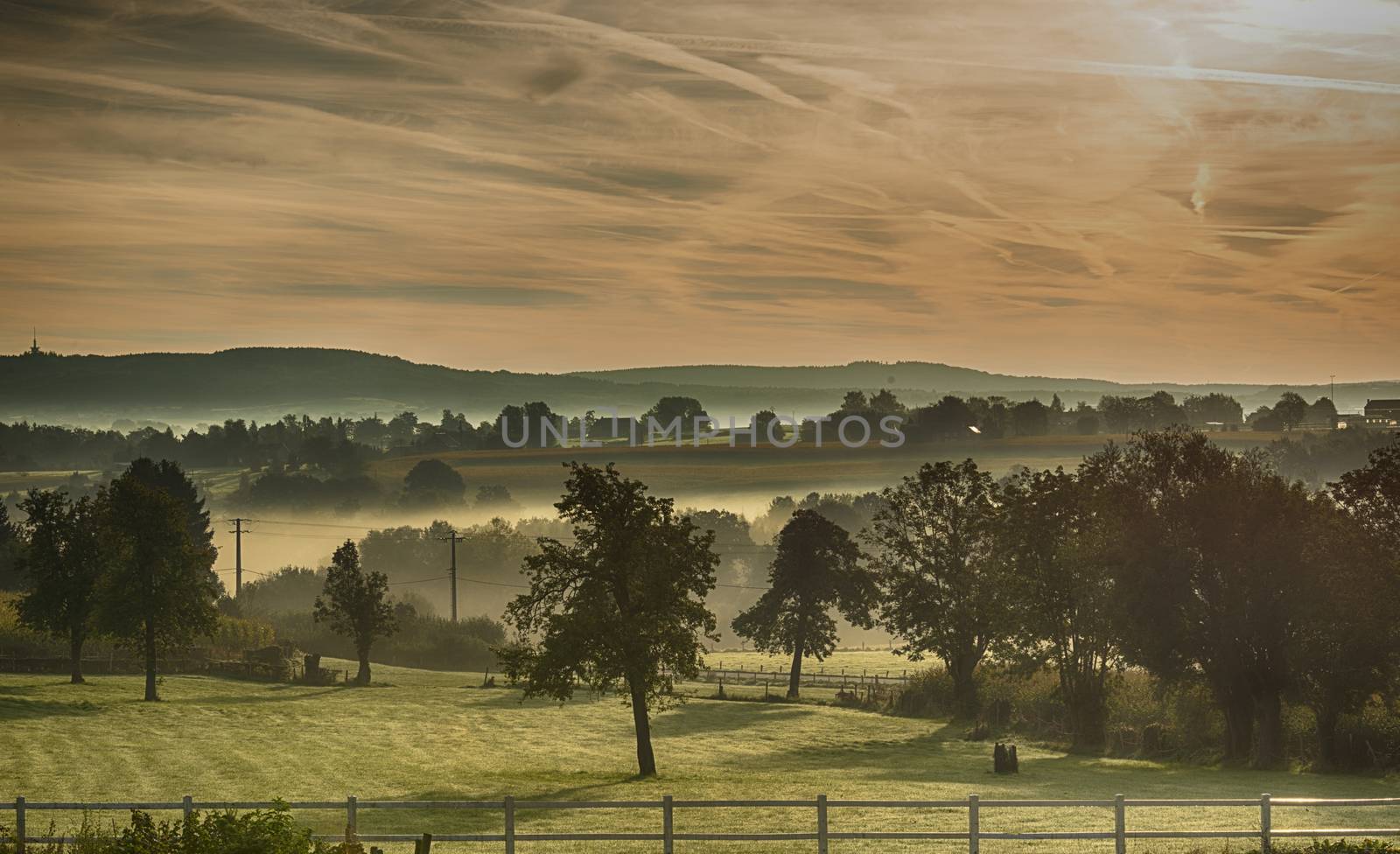 landscape in the nature of the begium hills with haze , mist and hills at the background with trees in the forground