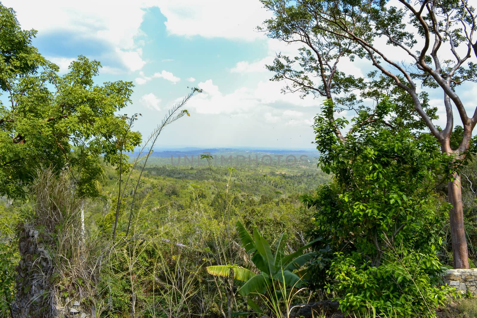 View on Gran parque natural Topes de Collantes national park in Cuba. by kb79