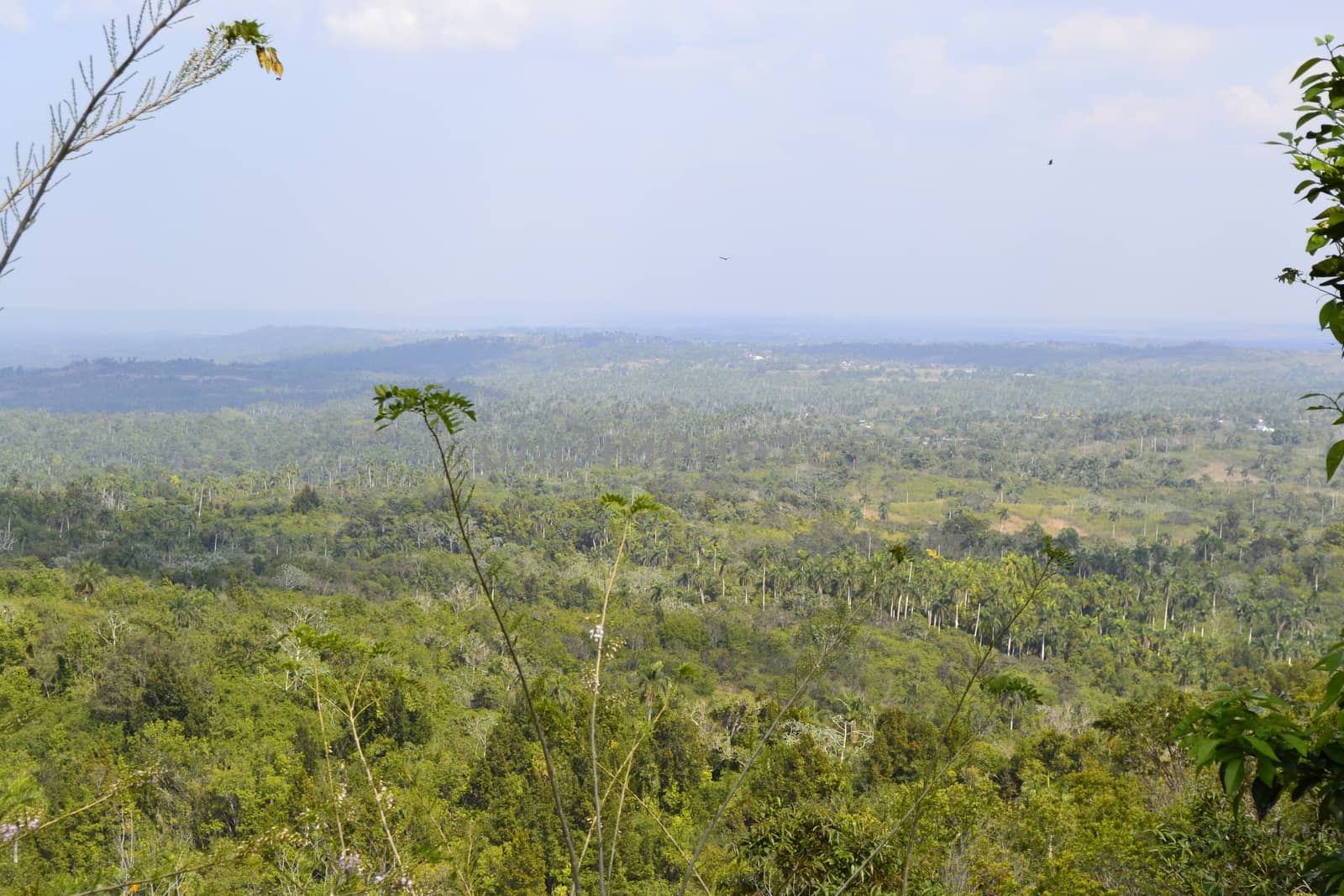 View on Gran parque natural Topes de Collantes national park in Cuba. Travel and tourism.