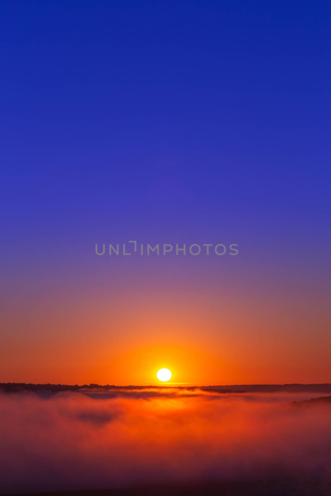 golden-blue summer sunrise over fog without clouds in minimalistic composition.