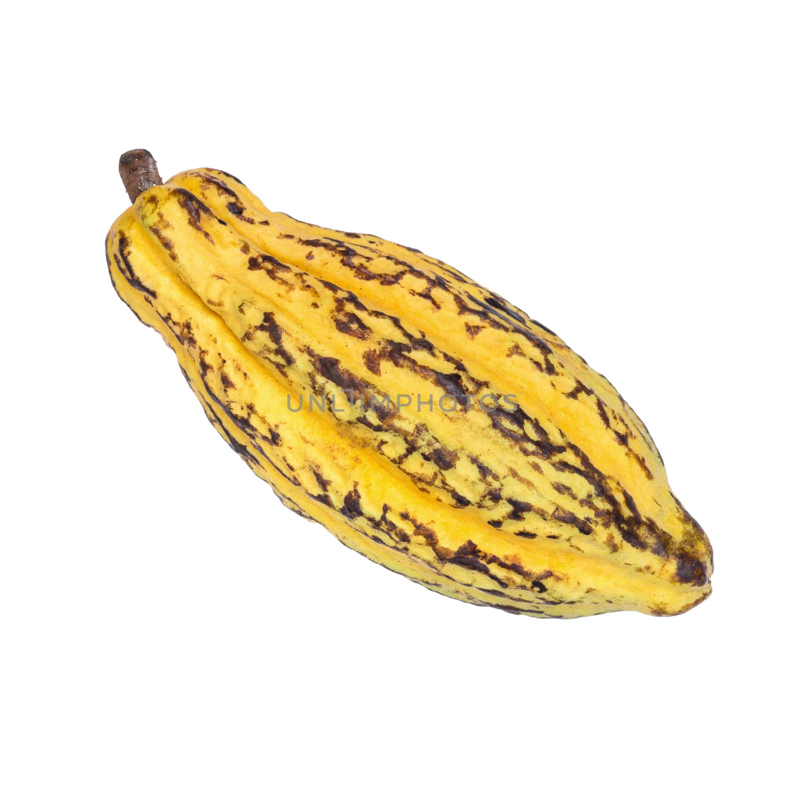 Cacao fruit, raw cacao beans, Cocoa pod isolated on white backgr by kaiskynet