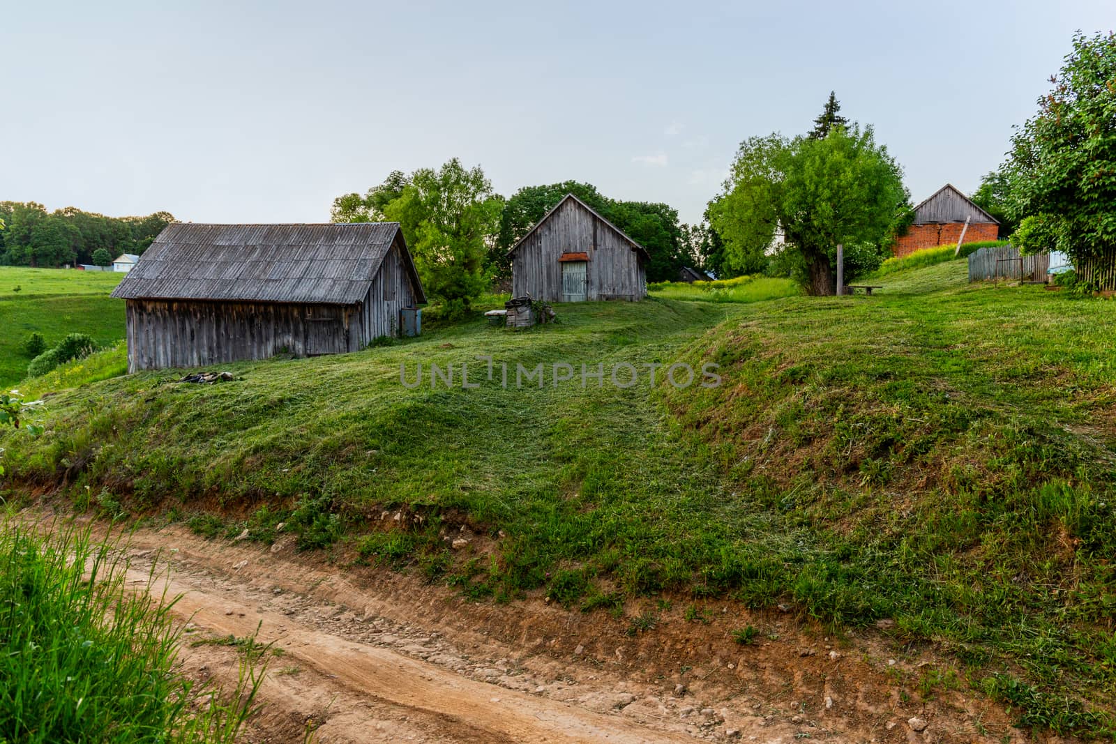 old wooden barns on yard with mowed lawn at summer evening.