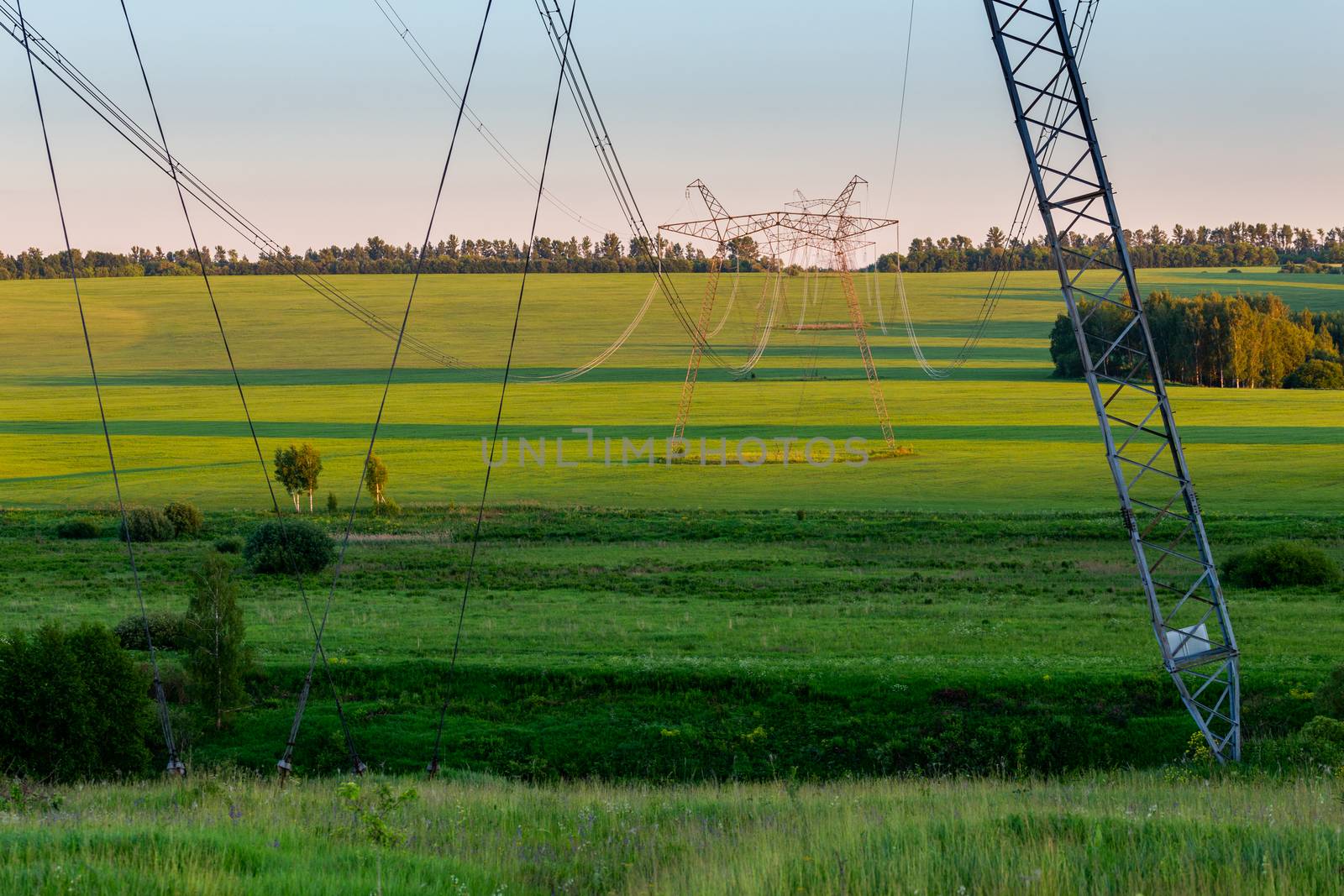 huge power line towers on field at summer evening.