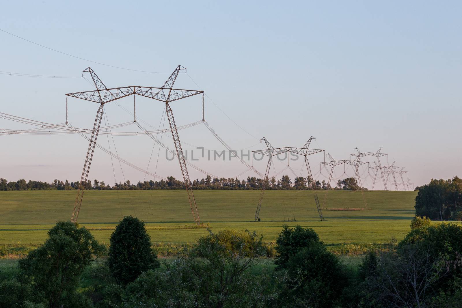 large power lines on field at summer evening.