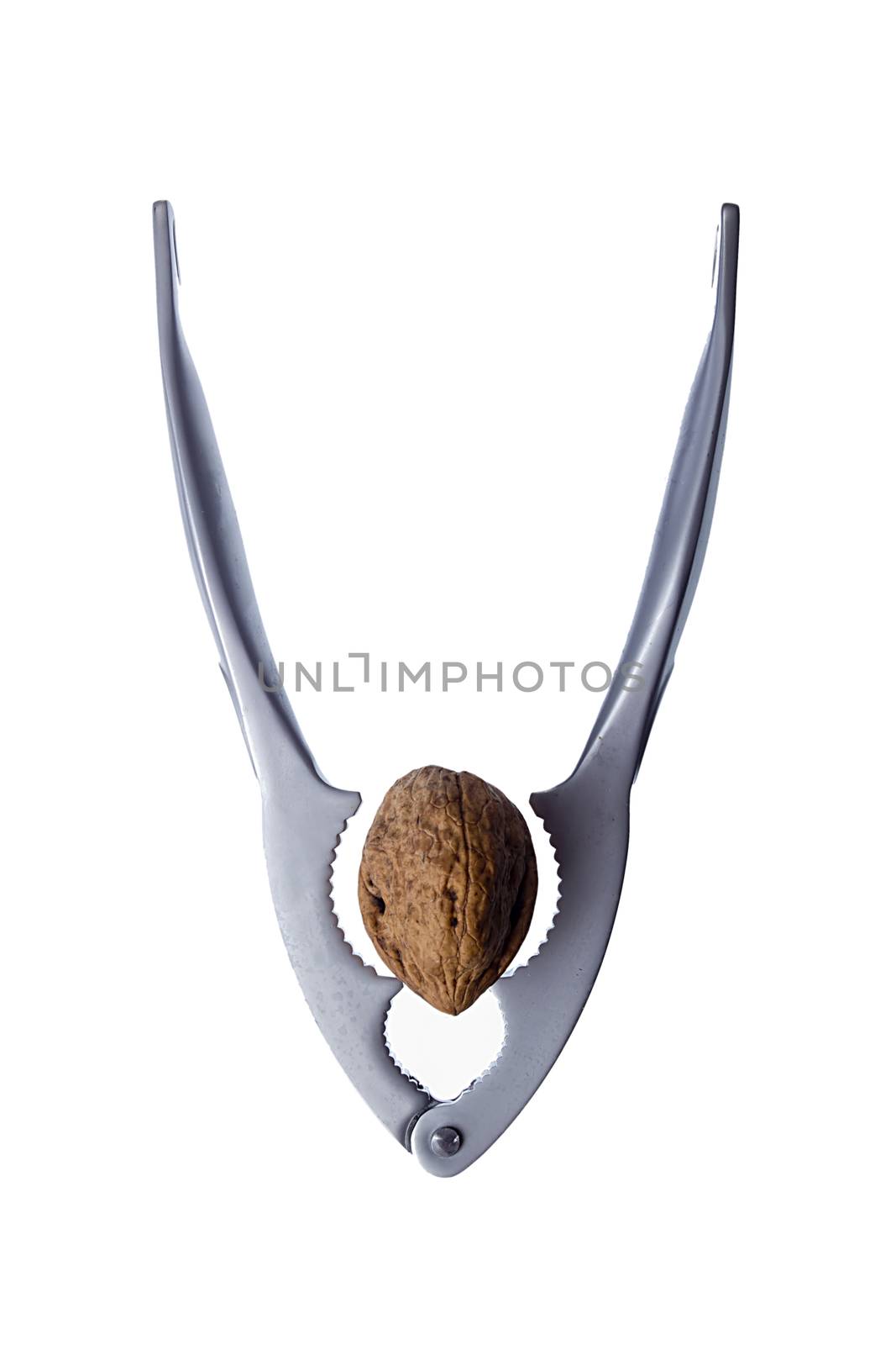 Steel nutcracker and walnut on white background