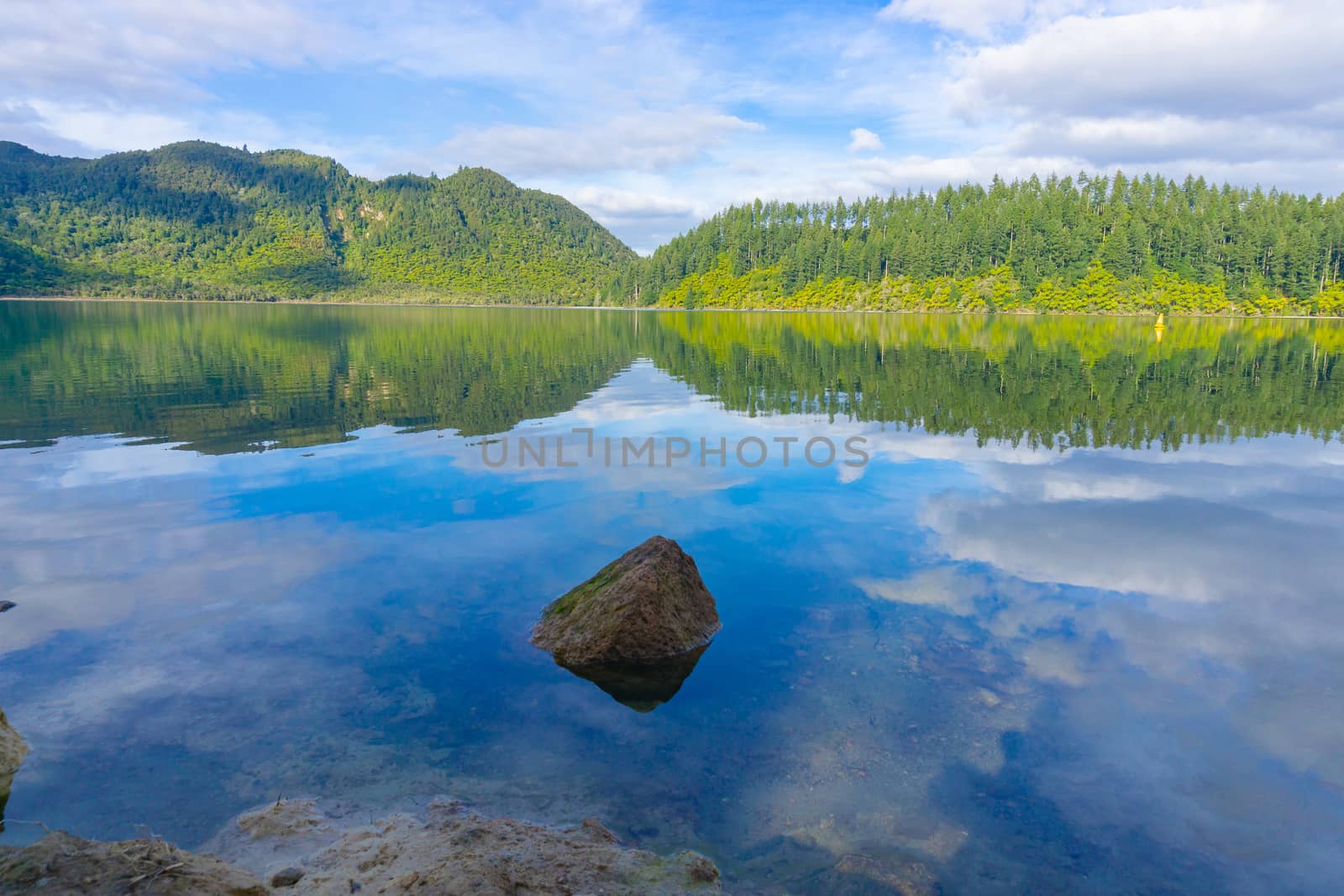 View across calm Blue Lake to ferns and trees on other side with sky and lake edge reflected in calm water, Rotorua New Zealand.