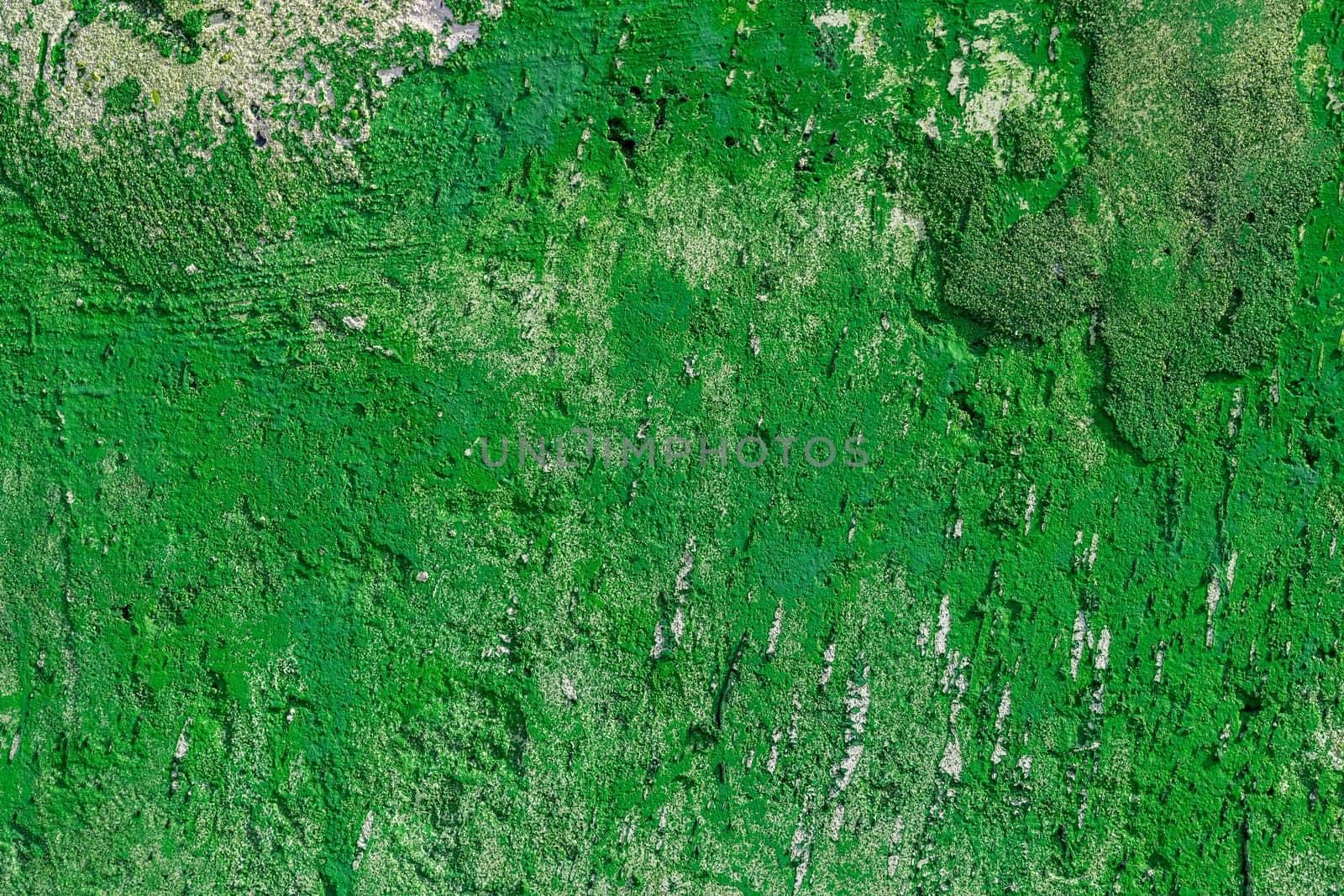 monocolor green painted flat concrete surface closeup texture.