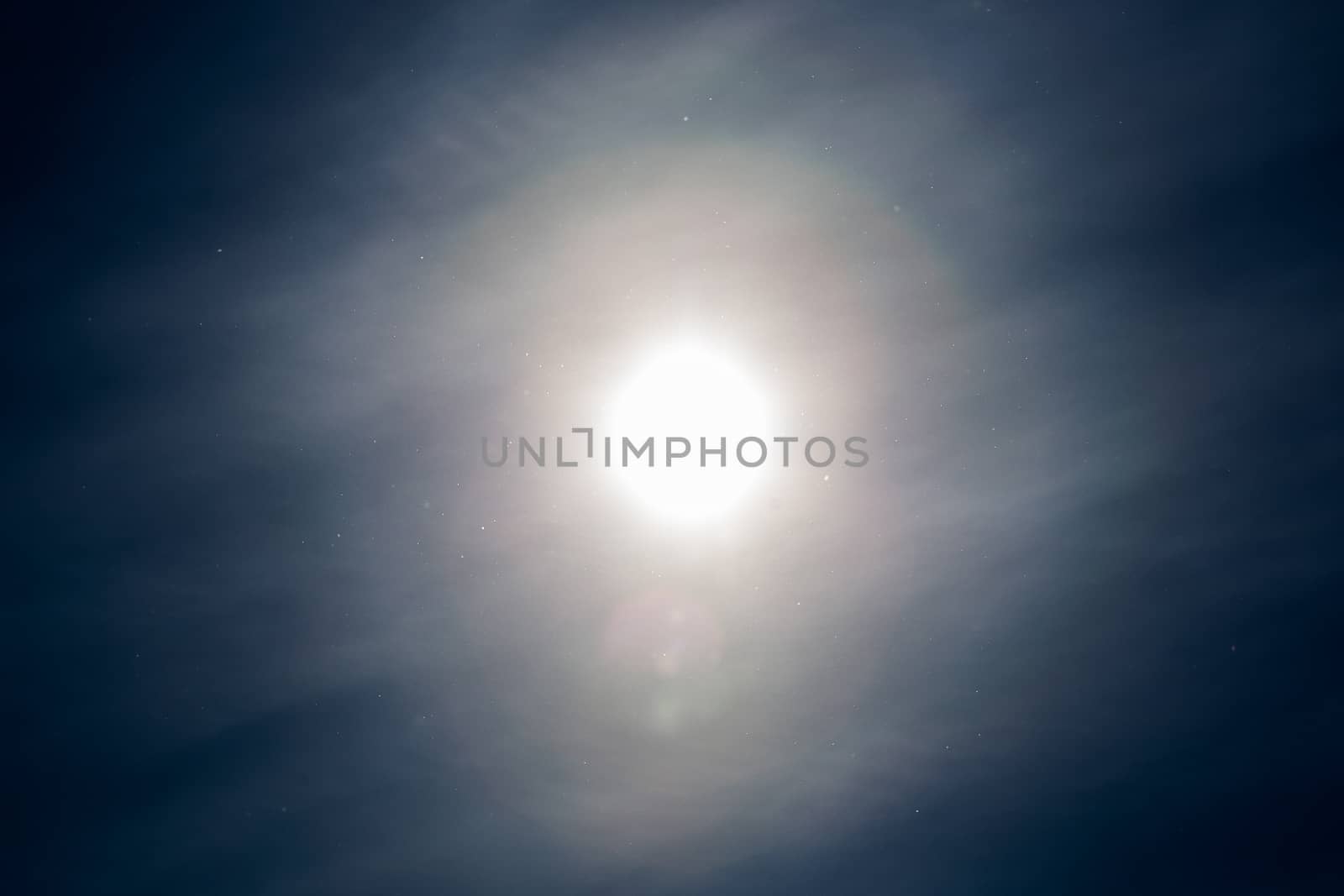 dust particles flying in the air on blue sky background with sun and feather cloud at spring day.