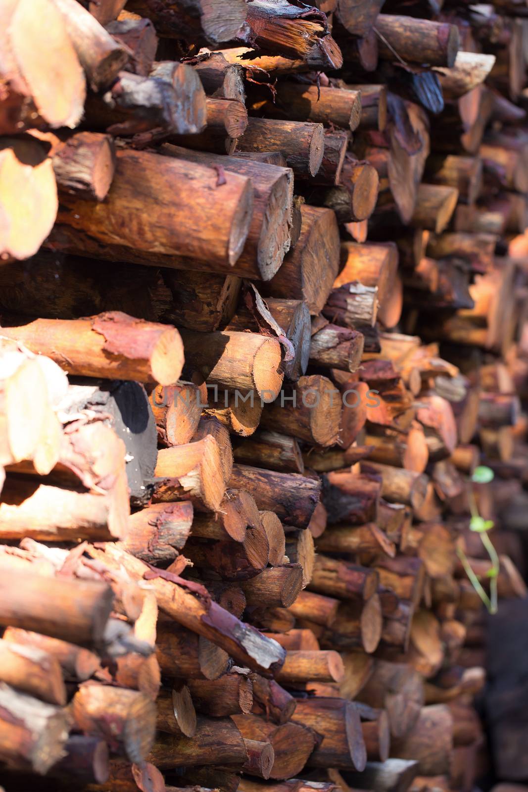 Firewood stacked and prepared for winter Pile of wood logs.