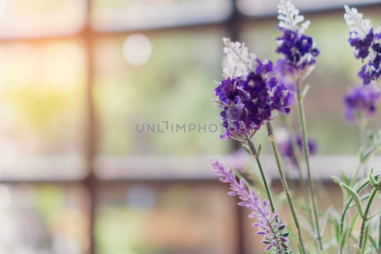 Selective focus of beautiful colorful flower bouquet with summer bokeh background.vintage fade color style.