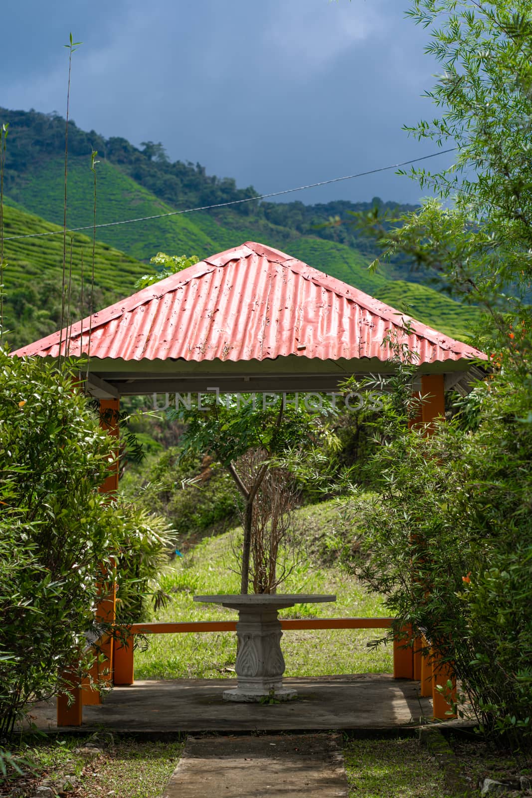 Gazebo in a beautiful place of living green nature. Coziness and serenity overlooking the green hills.