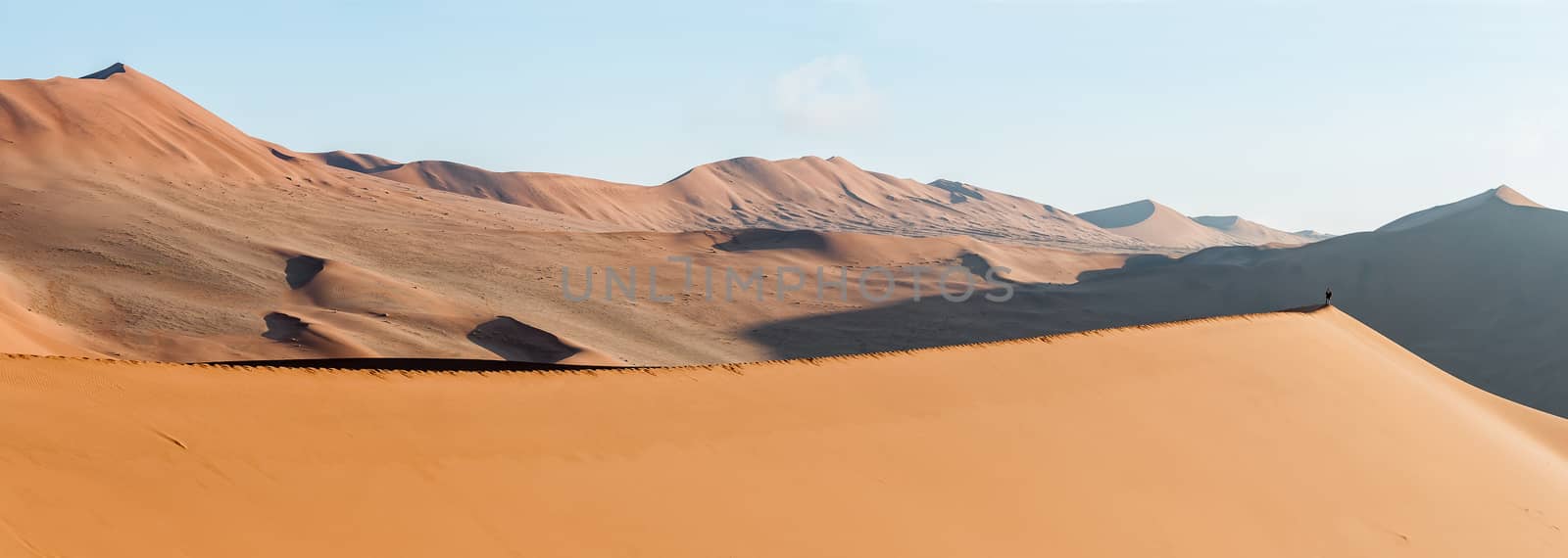 Panoramic view from the sickle shaped sand dune next to Sossusvlei towards the north-east. Sand dunes and a tourist are visible