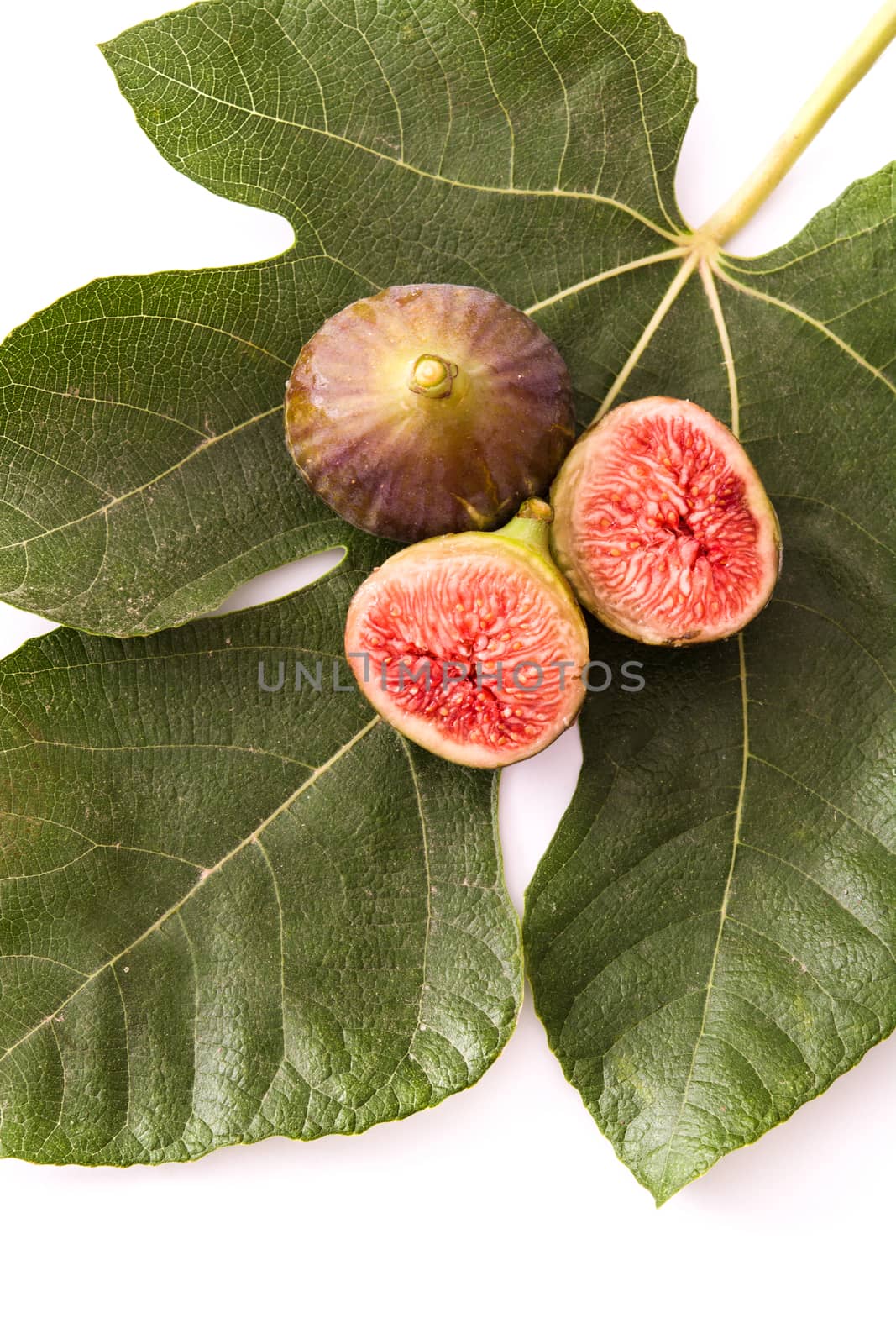 Fresh figs isolated on white background by chandlervid85