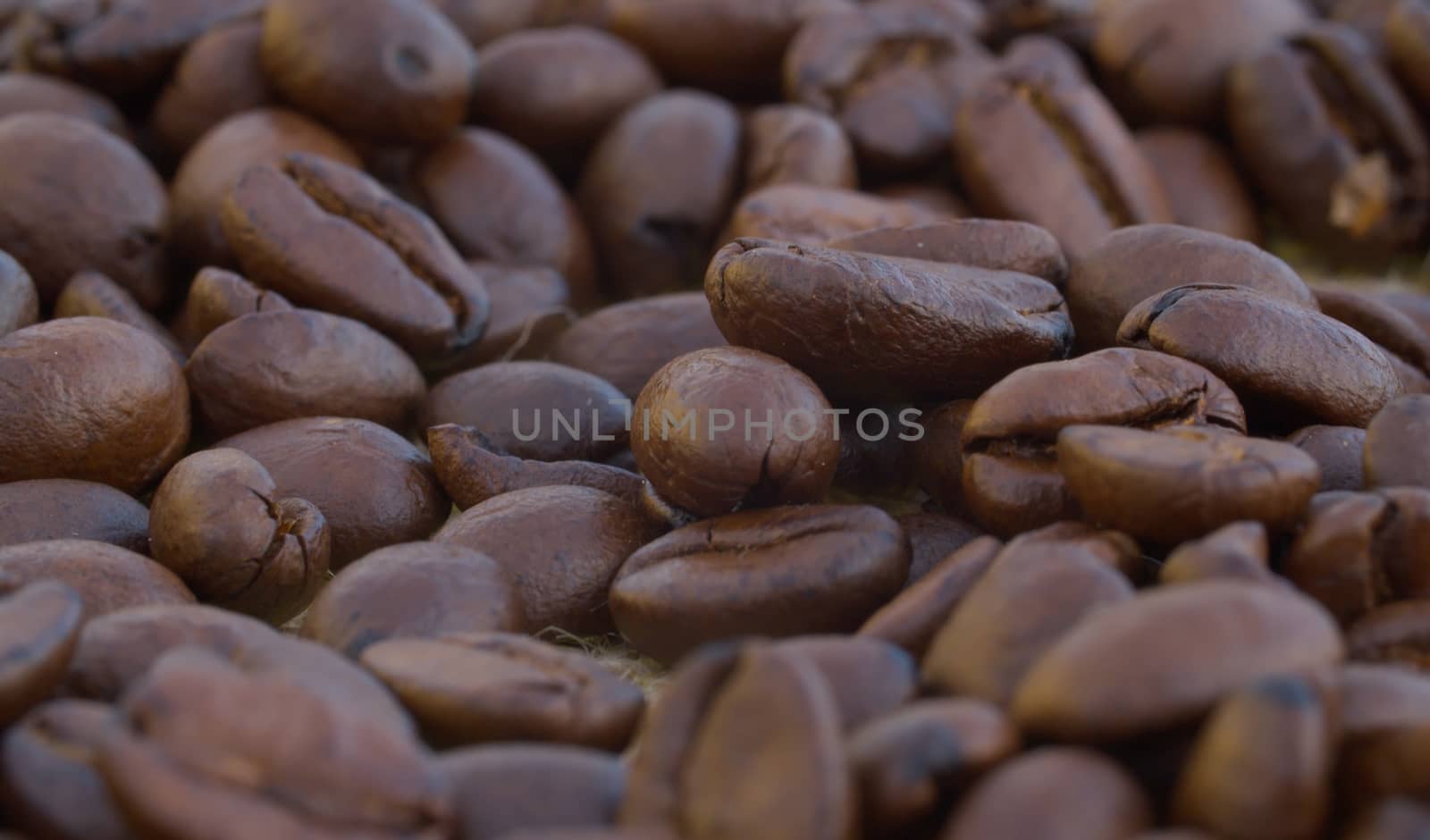 Macro shot of coffee beans by Alize
