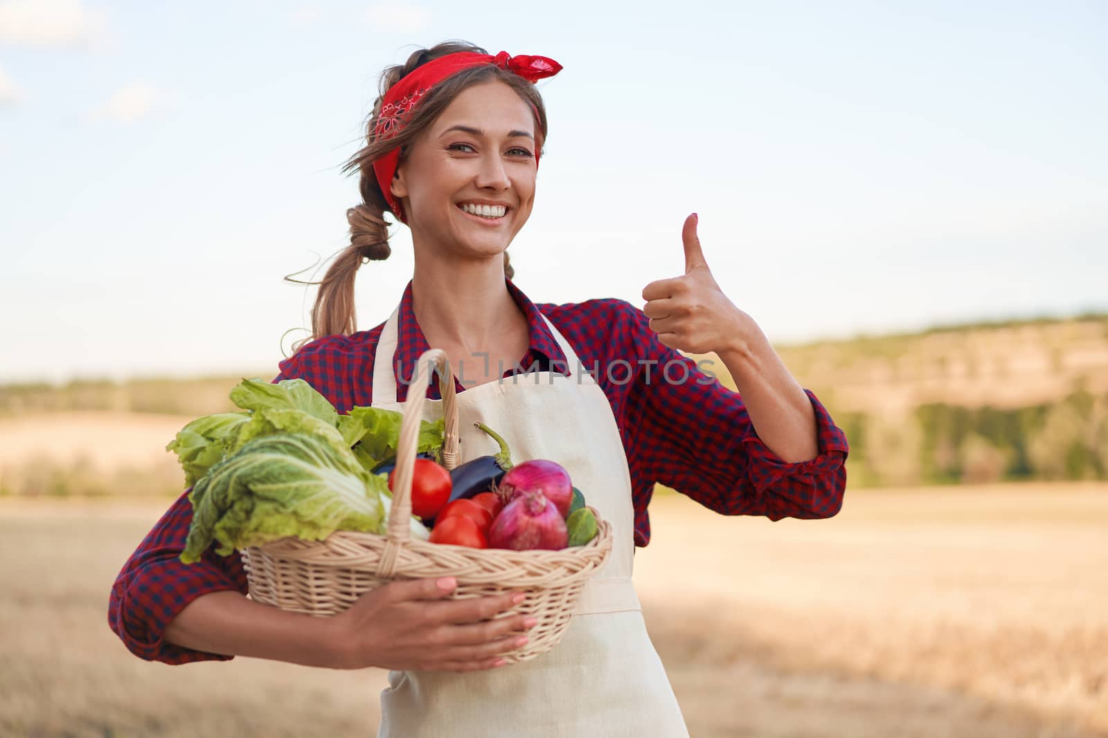 Woman farmer showing thumbs up holding basket vegetable onion tomato salad cucumber standing farmland smiling Female agronomist specialist farming agribusiness Pretty girl dressed red checkered shirt