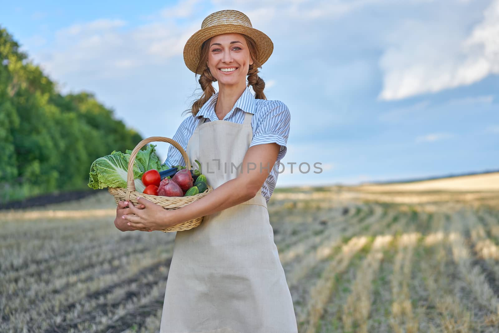 Woman farmer straw hat holding basket vegetable onion tomato salad cucumber standing farmland smiling Female agronomist specialist farming agribusiness Happy Girl dressed apron cultivated wheat field