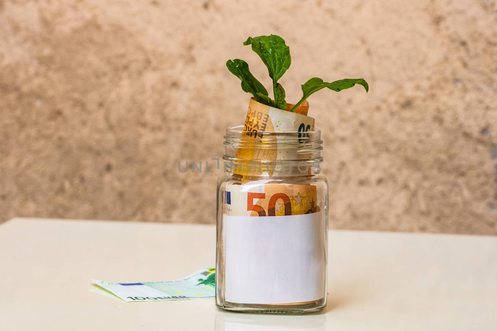 Plant growing from banknotes in a glass jar with copy space for  by vladispas