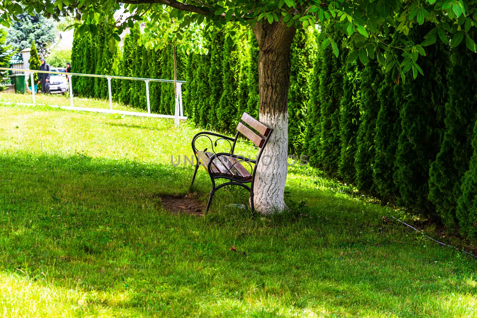 Empty bench near a tree trunk painted in white. by vladispas