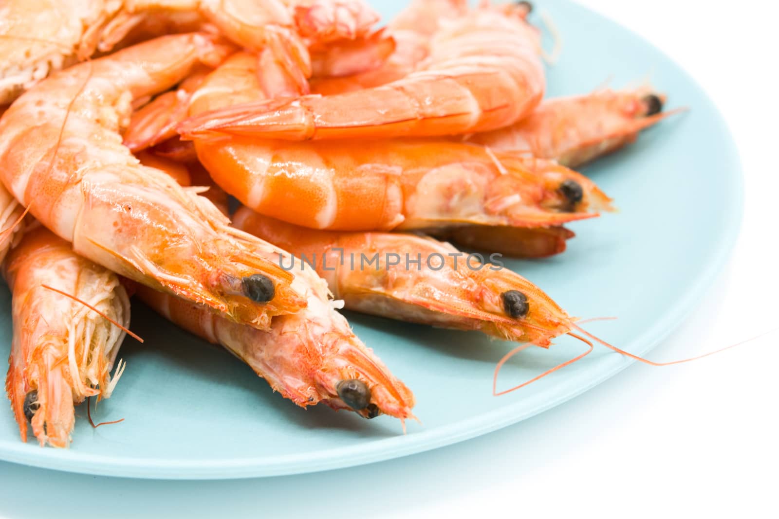 Grilled shrimps on blue plate isolated on white background