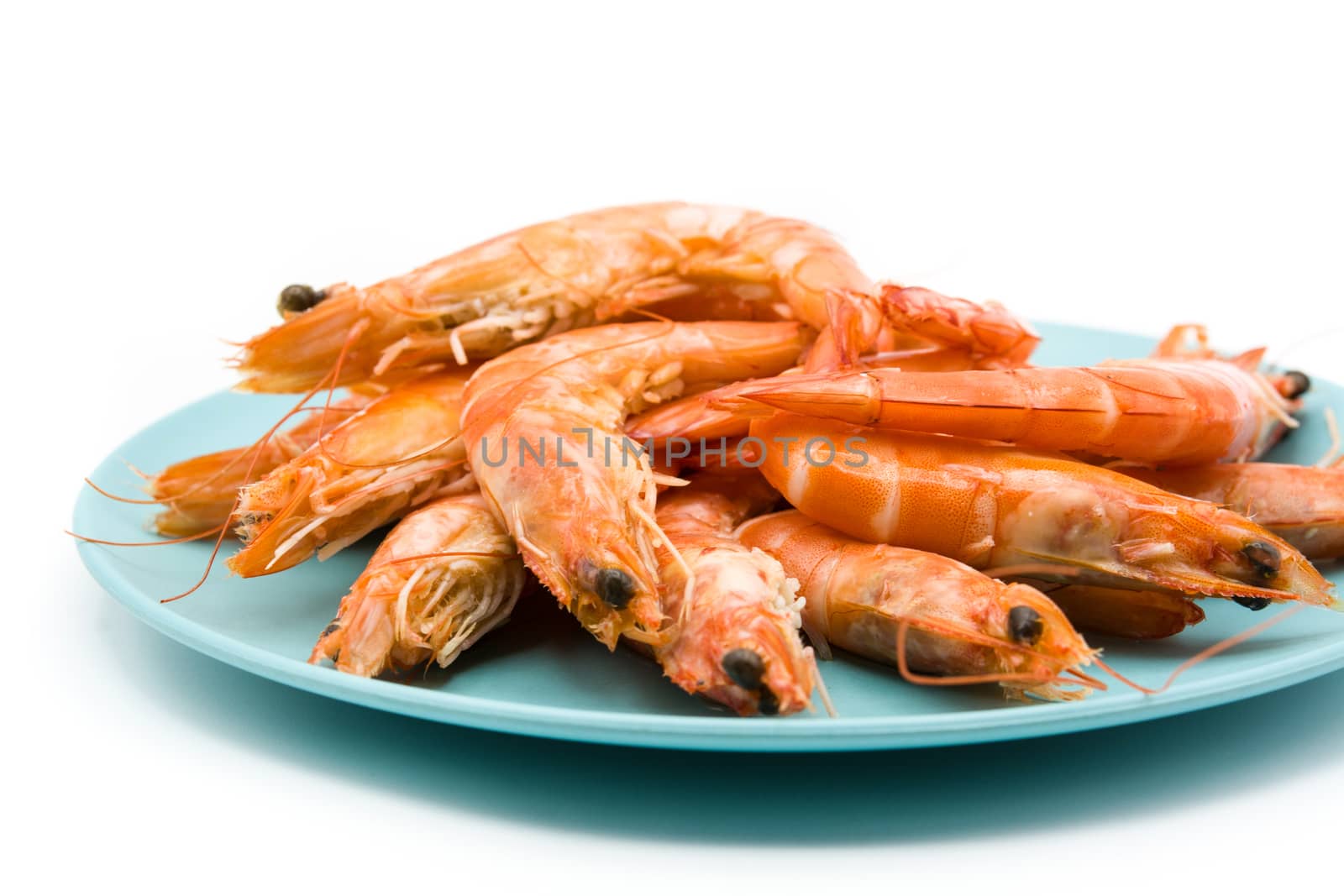 Grilled shrimps on blue plate isolated on white background