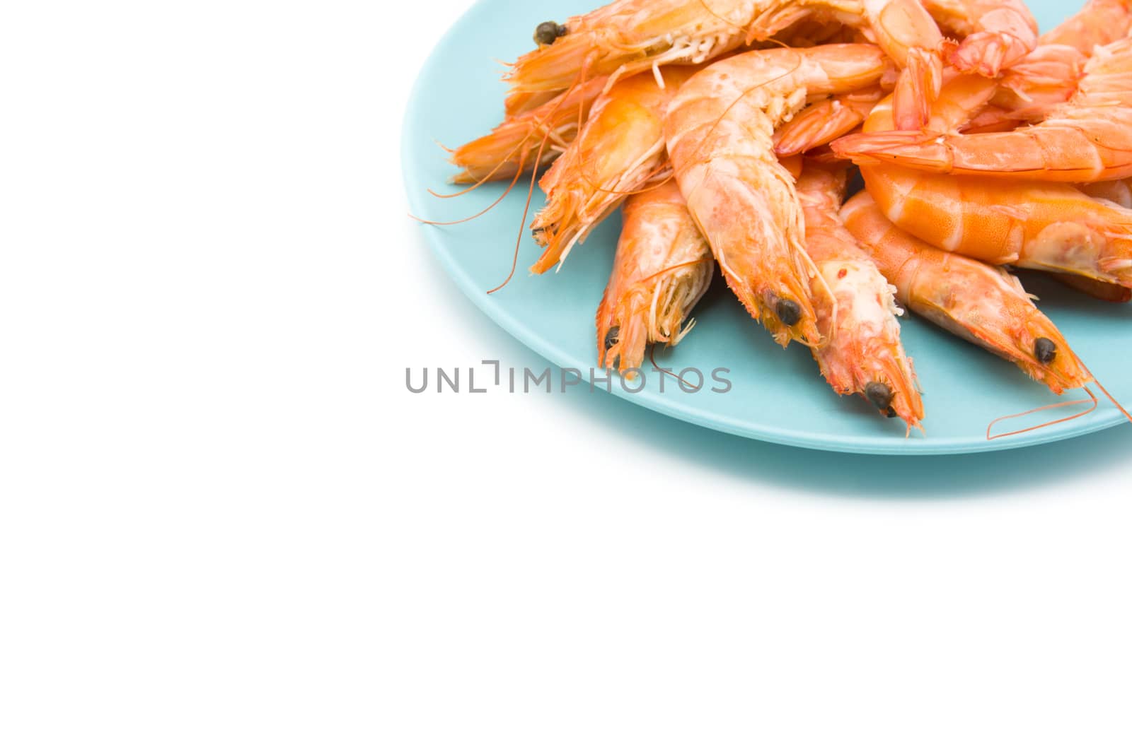 Grilled shrimps on blue plate isolated on white background