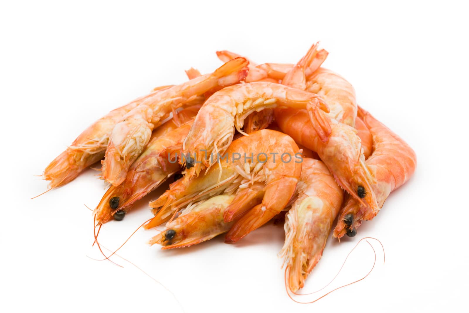 Grilled shrimps isolated on white background.