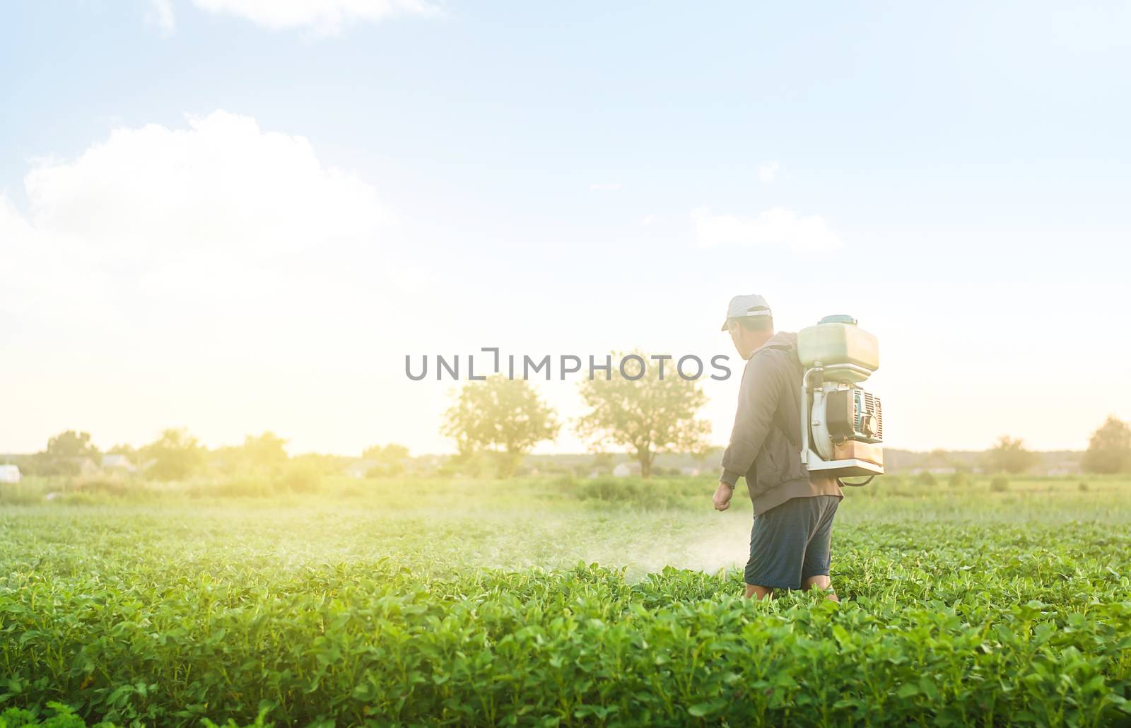 A farmer with a mist sprayer spray treats the potato plantation from pests and fungus infection. Protection and care. Use chemicals in agriculture. Agriculture and agribusiness. Harvest processing.