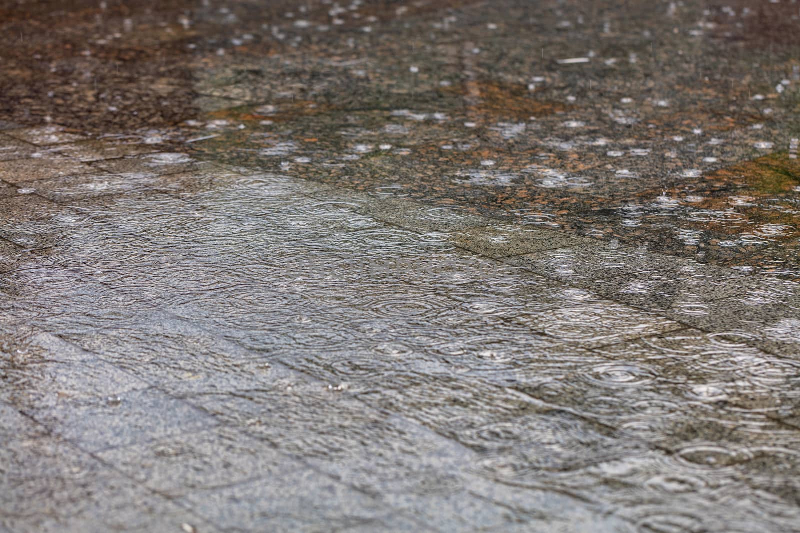 Heavy rain, large drops form concentric circles on the surface of the water and flood the granite sidewalk slabs on the city street. Selective focus, soft gradient of light and shadow.