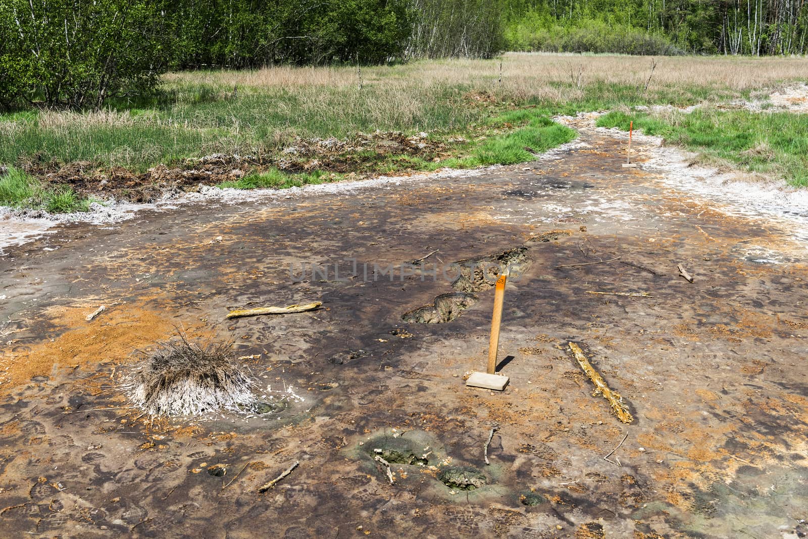 Soos is a post-volcanic conservation area in the north Czech Republic near Frantiskovy Lazne. In this reserve bog is combined with moffetes, mud volcanoes and hot springs.