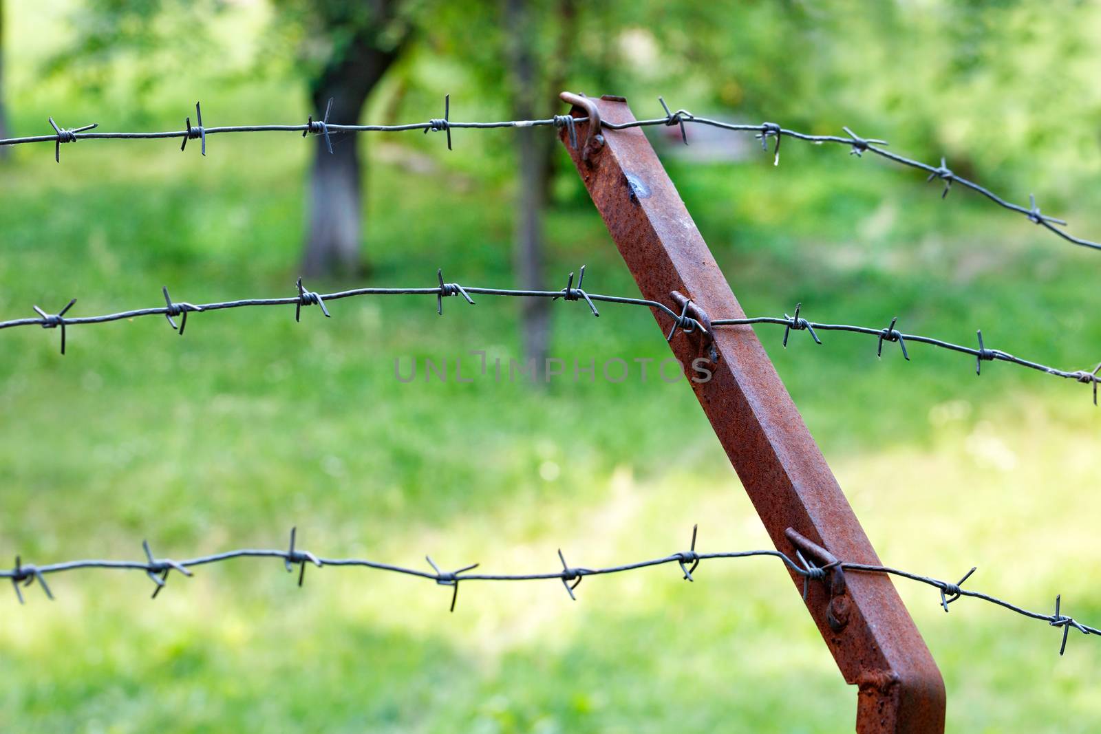 Barbed wire fencing, perimeter security, protection against illegal intrusions. by Sergii
