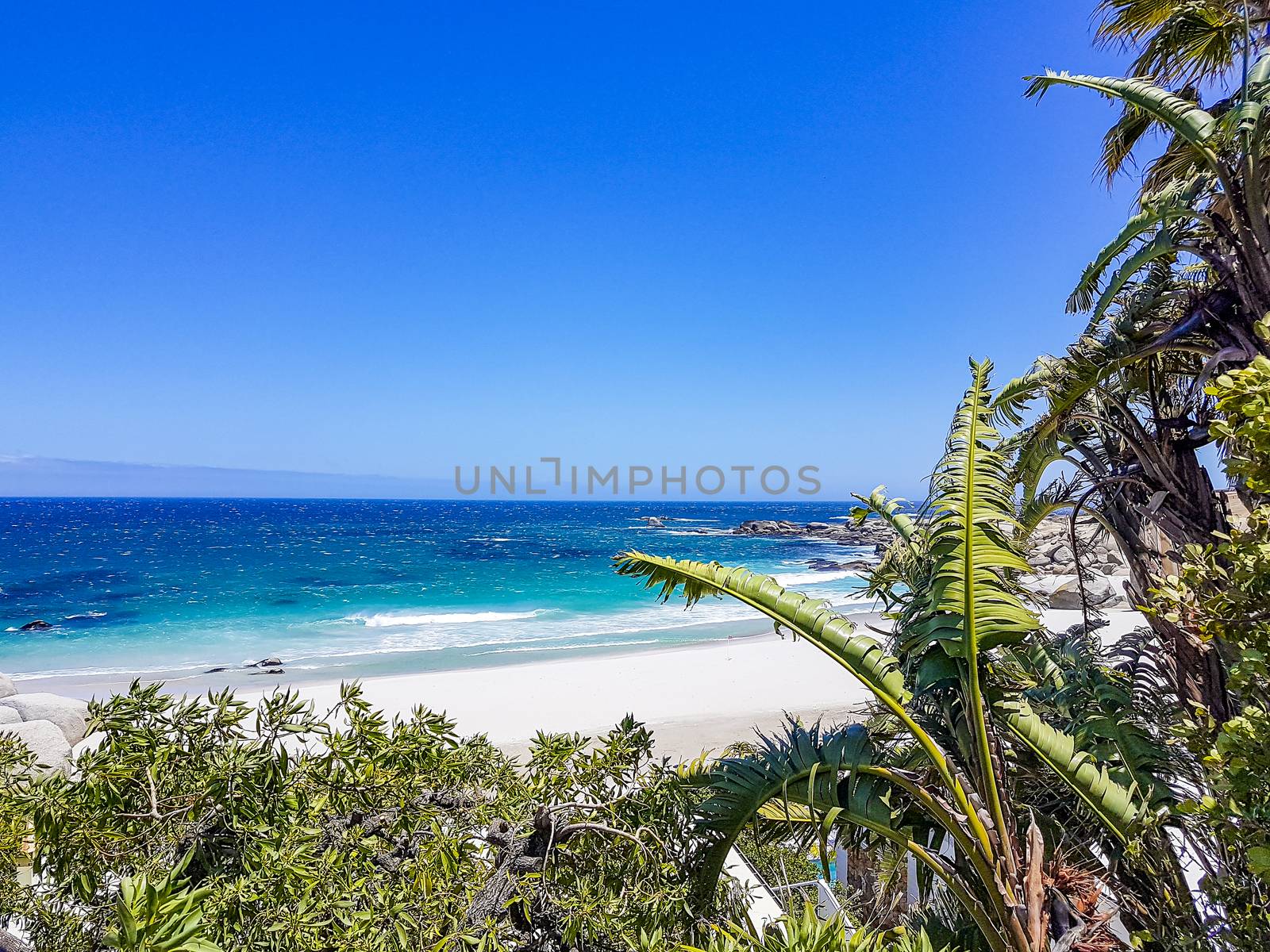 Camps Bay Beach behind palm trees, Cape Town. by Arkadij