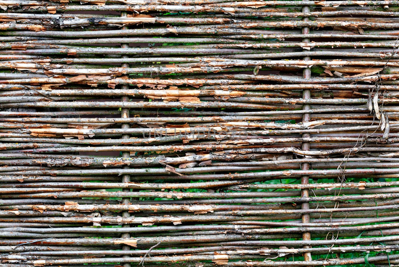 Fragment of a wicker fence made of old branches close-up in bright sunlight. by Sergii