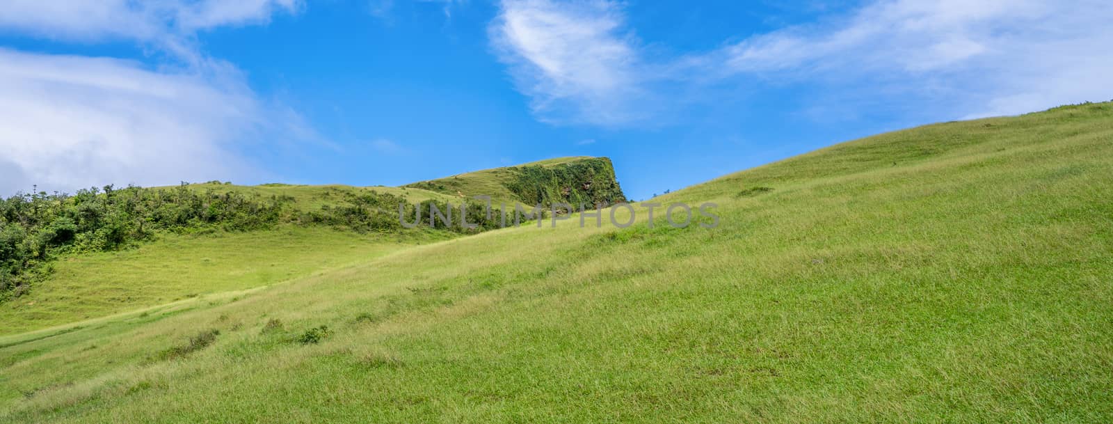 Beautiful grassland, prairie in Taoyuan Valley, Caoling Mountain by ROMIXIMAGE
