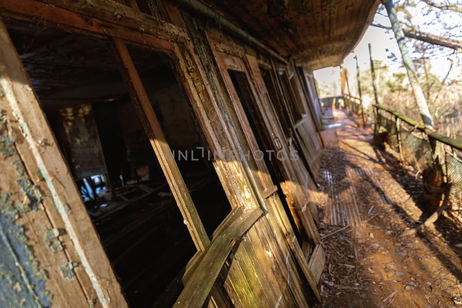 Damaged boathouse at the swamps on Pripyat City