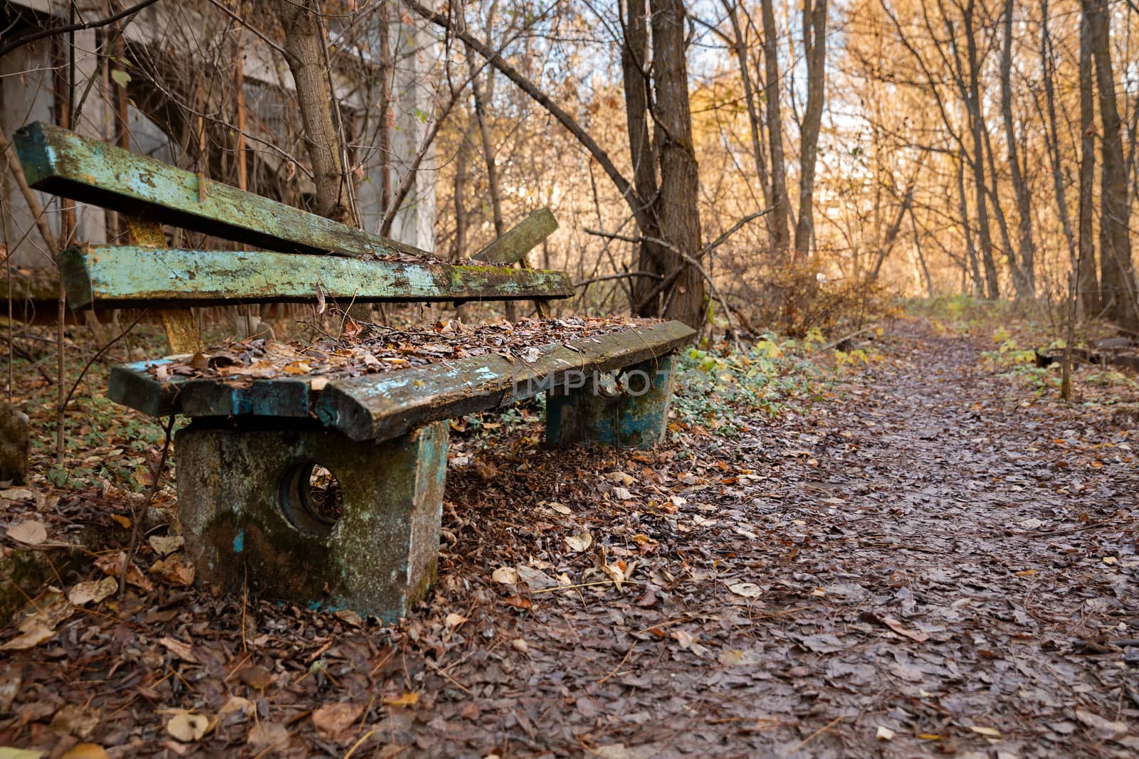 Old destroyed bench next to path by svedoliver