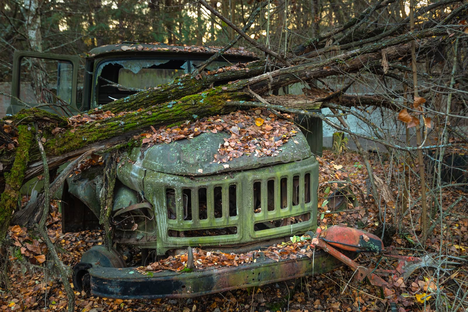 Fallen tree on abandoned truck left outside by svedoliver