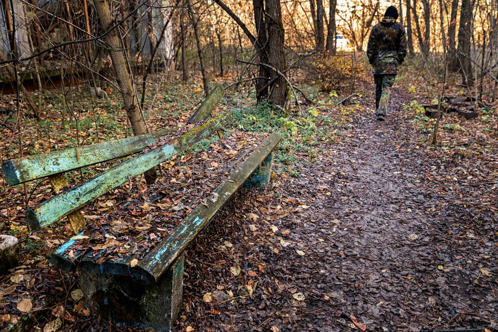 Old destroyed bench next to path by svedoliver